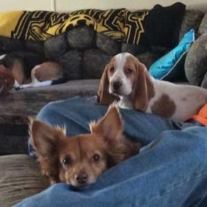 Meet your Posher, Hannah